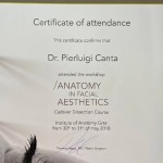 Anatomy in Facial Aesthetics 2018
