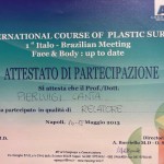 XI International Course of Plastic Surgery Italo-Brazilian