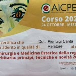 Aicpe 2020